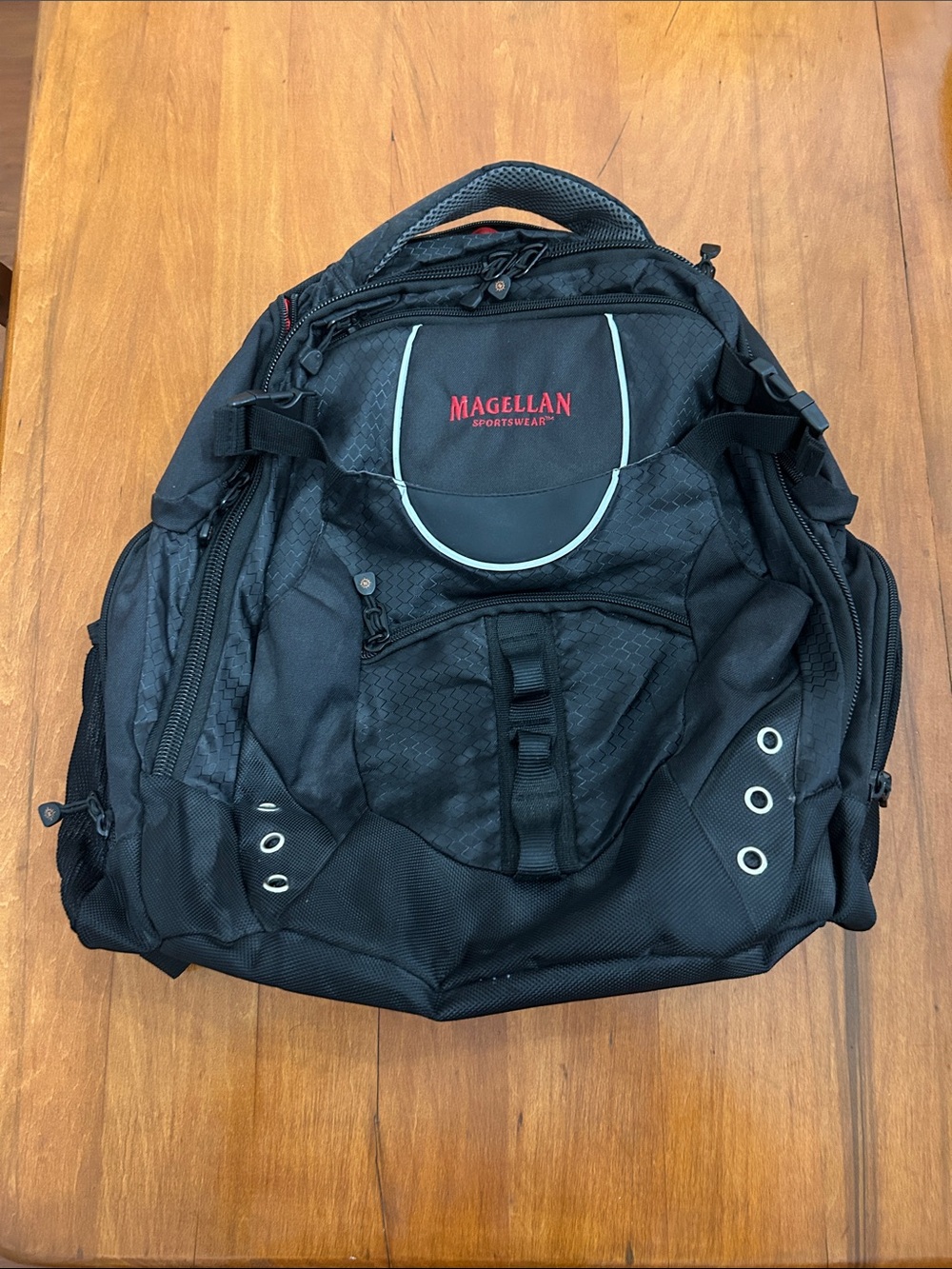 Magellan Multi-Compartment Backpack (laptop bag)  LOTS OF FEATURES!